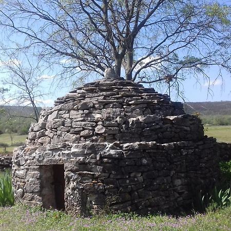 Family Friendly Holiday Home "Ana" Sibenik Exterior photo